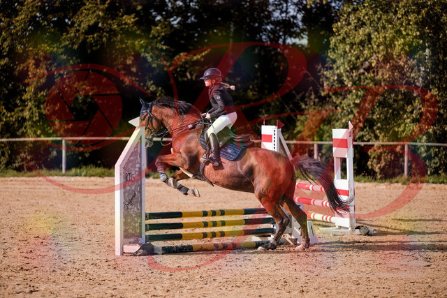 2026_10_03_Siefer-Hof_154625_Z81_64890555 | Professionelle Reitsport-, Turnier- und Eventfotografie von Robert Broda. Galerien mit ausgewählten und bearbeiteten Bildern direkt online ansehen und bestellen.