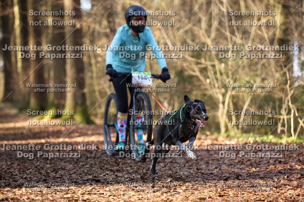 Dog Paparazzi - VCC26-889 | Dog Paparazzi Jeanette Grottendiek Fotografie & Videografie - Realisiert mit Pictrs.com