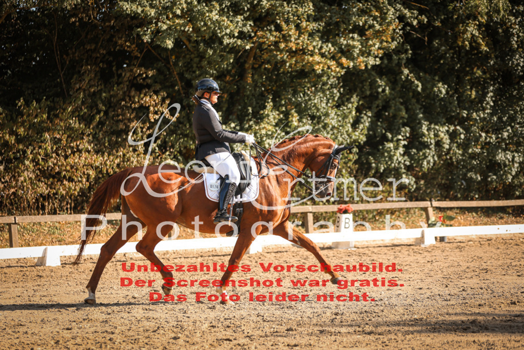 05.SaDrM00223 | Leoni Ertmer Photography - Realisiert mit Pictrs.com