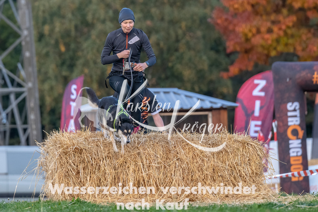 0818_ZZ90240-Bearbeitet | kk-dogfotos