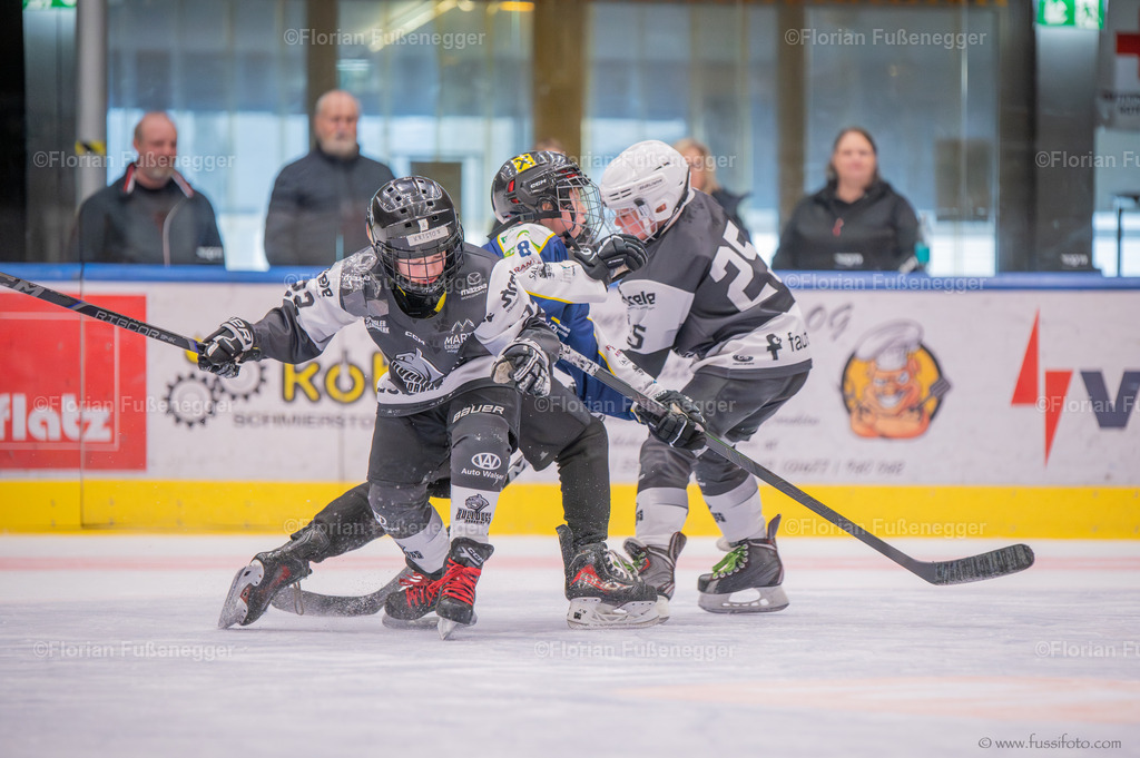 DSC_1098 | "Fussifoto.com – Ihr Ansprechpartner für hochwertige Fotografie! Entdecken Sie kreative Bilder und professionelle Dienstleistungen. Kontaktieren Sie uns für Ihre Projekte!"