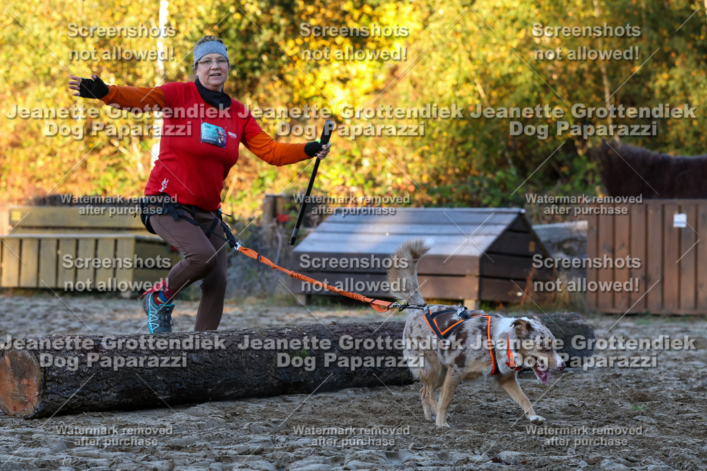 Dog Paparazzi - Strongdog 10-25-564 | Dog Paparazzi Jeanette Grottendiek Fotografie & Videografie - Realisiert mit Pictrs.com