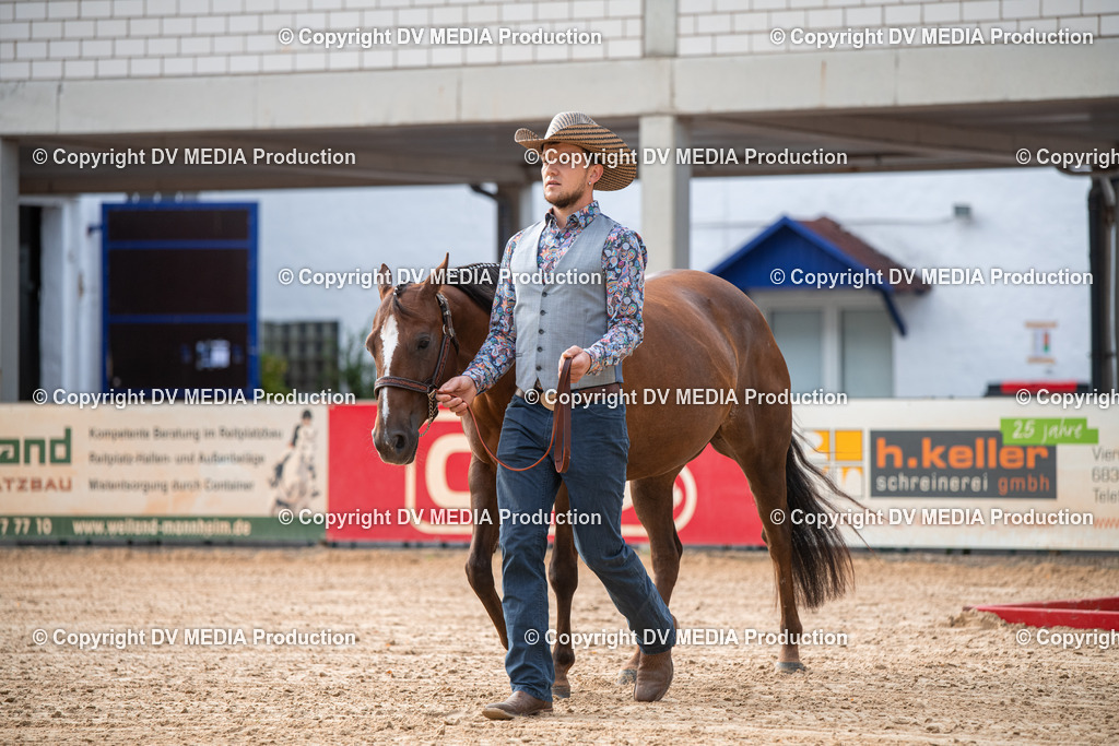 EWP_5543 | dv-media-shop - Realisiert mit Pictrs.com