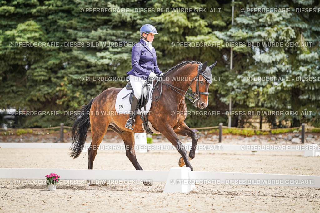 DSC02516 | Pferdegrafie