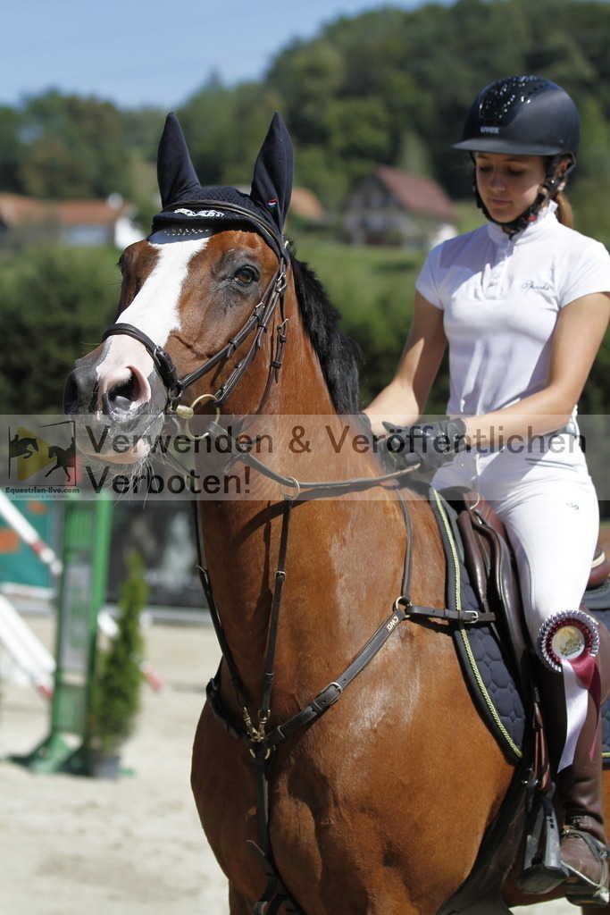 _MG_5267 | equestrian-live-com