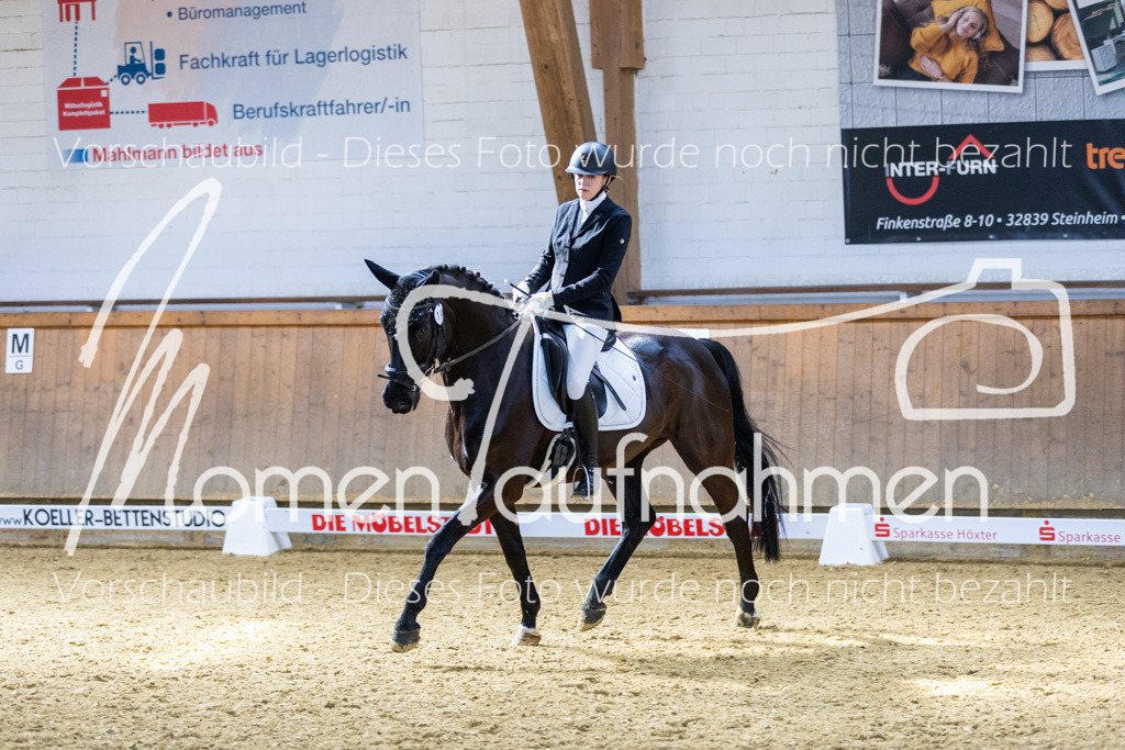 Sth-LPO25-DrR-L-244 | MomenTaufnahmen Pferdesportfotos