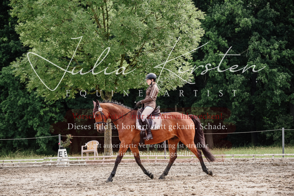 DSC_9512 | Pferde- und Turnierfotografie in Westsachsen. Pferdeportraits, Auftragszeichnungen und intuitive Kunst.