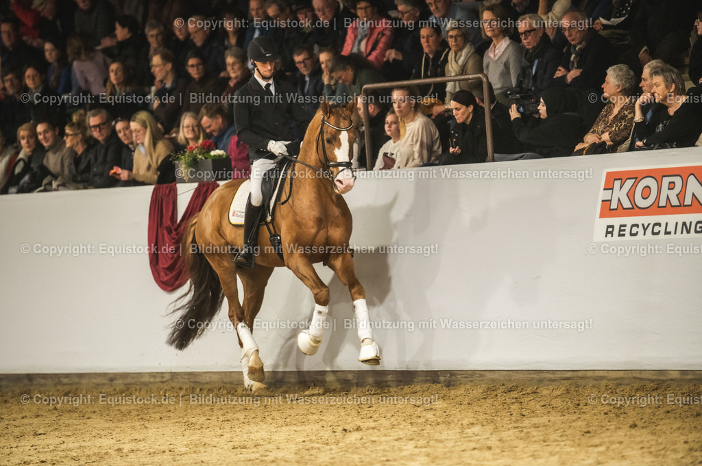 20240302_Hengstvorstellung_Marbach_TOMsPiC_0526 | equistock