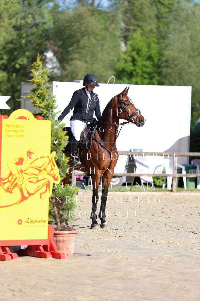 IMGS6194 | pl-fotografie