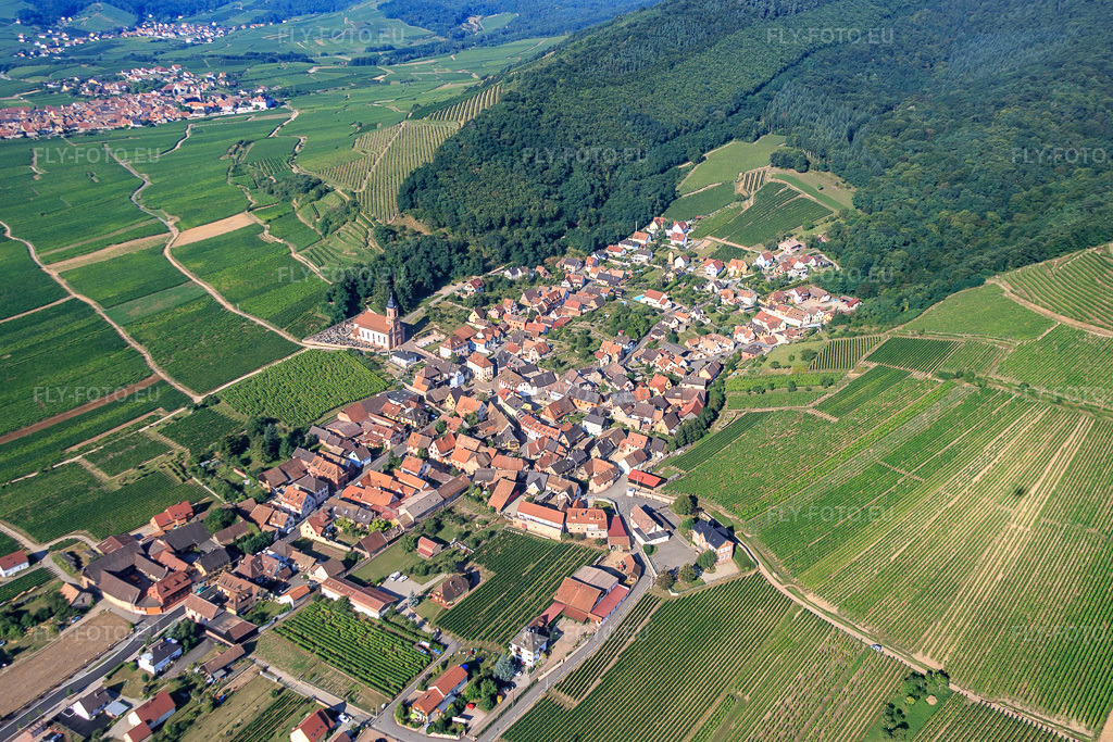 Vue aérienne: Vue de la ville depuis le nord-est à Orschwiller dans le département Bas Rhin, France – .Photo: IMG_093298.jpg prise le 16/08/2016 par Werner Riehm/FLY-FOTO.eu – Résolution de l'original: 5017 x 3345 px