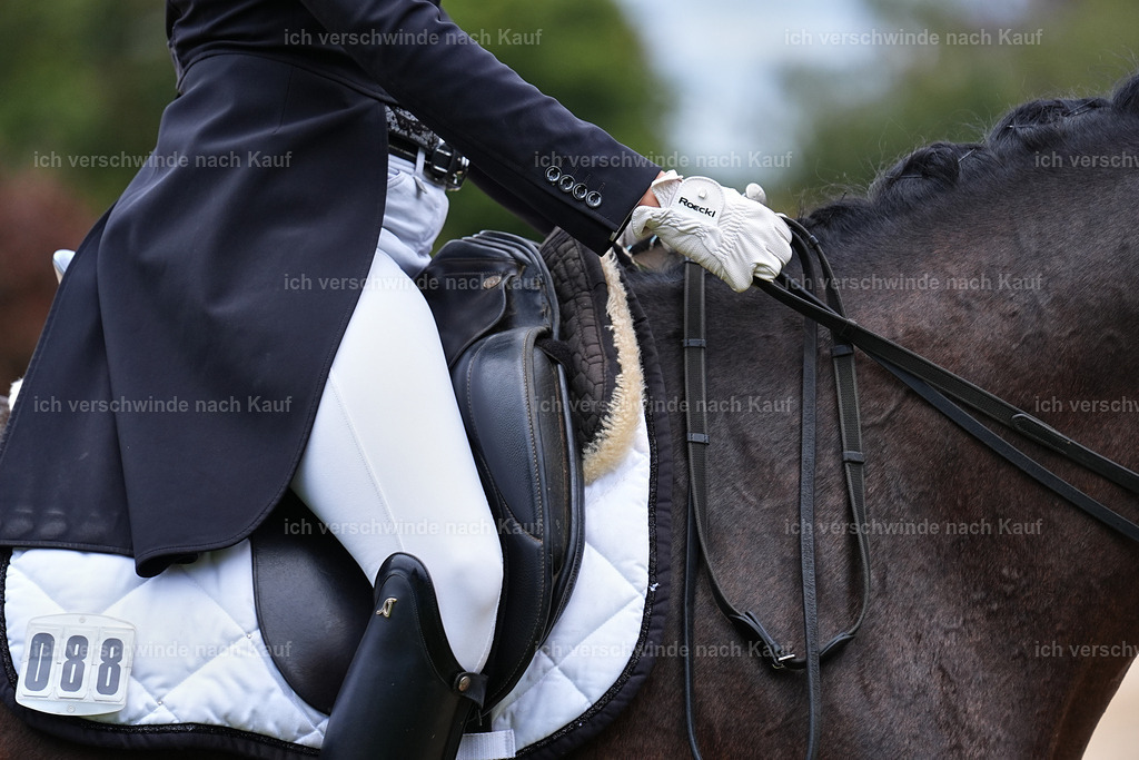 8_2-088-DRESSUR S_  -Marixx-4608 | working equitationturnier fotograf videograf stoibphotography marixx film working equitation deutschland reitsport turnierfotografie eventfotografie equestrian events