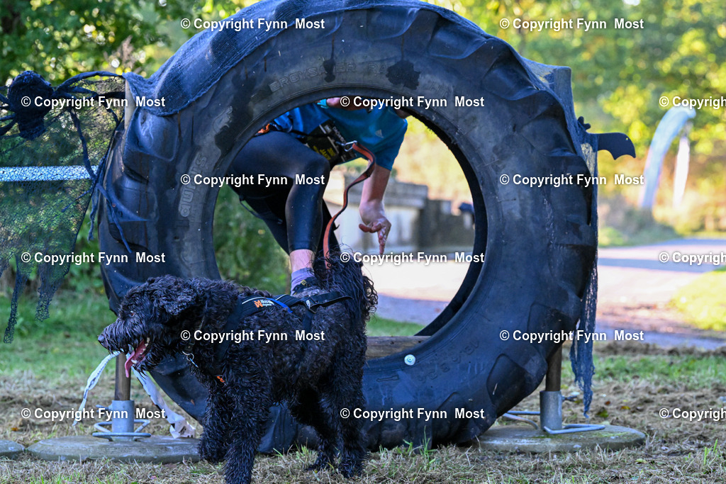DSC_3980 | Hallo und herzlich Willkommen auf meiner Shop-Seite Fynn Most.

Ich wünsche Dir viel Spaß beim stöbern durch die Bilder, wenn Du Fragen hast oder Bilder vermisst, kannst du mir gerne eine Nachricht schreiben. - Realisiert mit Pictrs.com