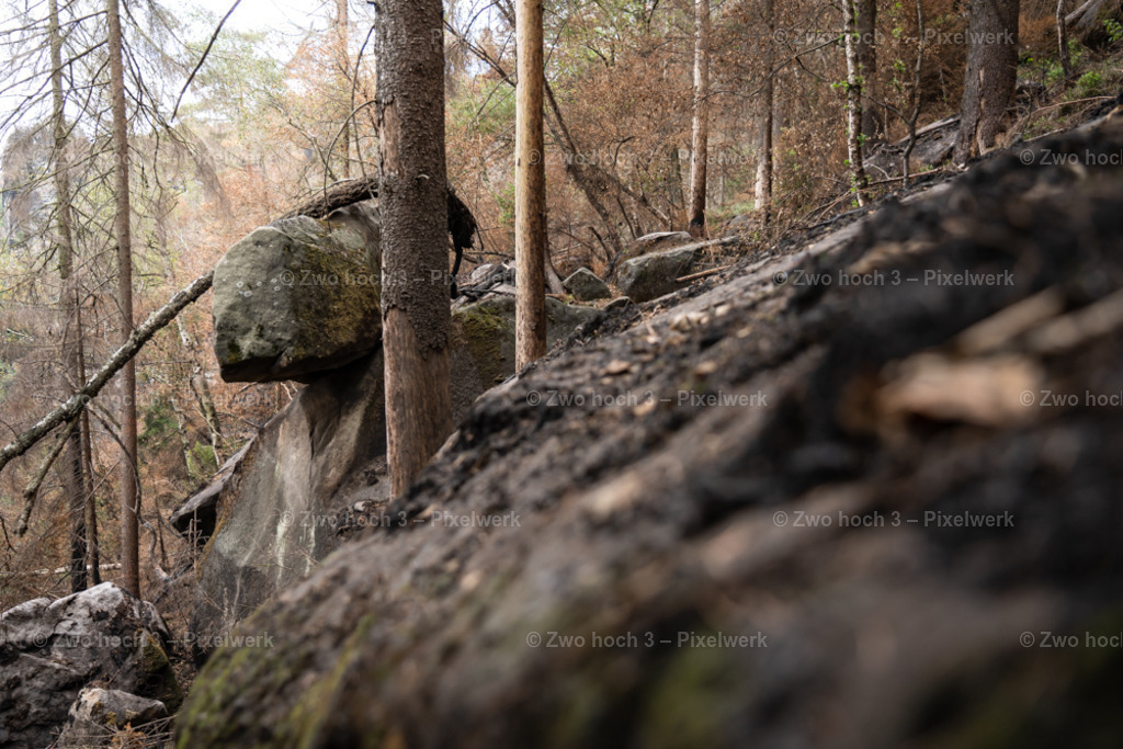 Obere_Affensteinpromenade_Nahe_Rollenturm_Felsblock_Unschaerfe | 2022-09-02_Waldbrandgebiete_2 - Realisiert mit Pictrs.com