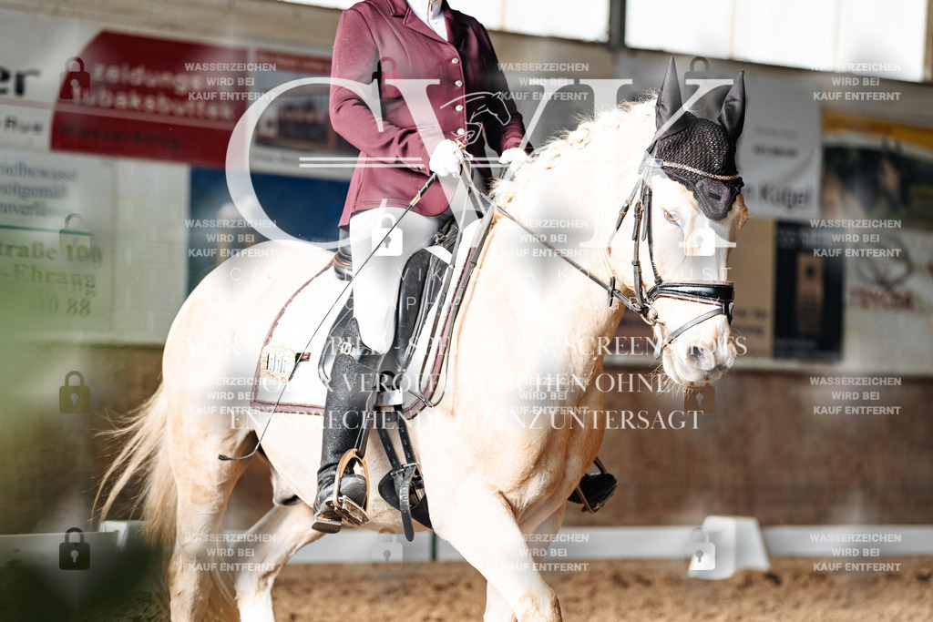 CK902646 | Turnierfotografie Pferdefotografie Trier Rheinland-Pfalz Pferdesport Reitsport Tierfotografie Sportfotografie Pferdevideo Pferdevideografie Equestrianvideography equestrianphotography  - Realisiert mit Pictrs.com