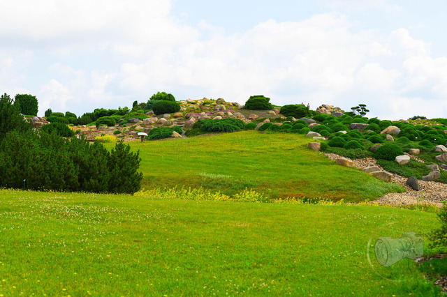 Sicht auf die hügelige Landschaft im Finlingspark Nochten | Shop für Prints Landschaftsfotografie Sächsische Schweiz Naturfotografie in Thüringen Fotos vom Findlingspark Nochten Kloster Sankt Marienstern Bilder Festung Königstein PanoramaRhododendronpark Kromlau FotogalerSchleswig-Holstein Küstenlandschaften