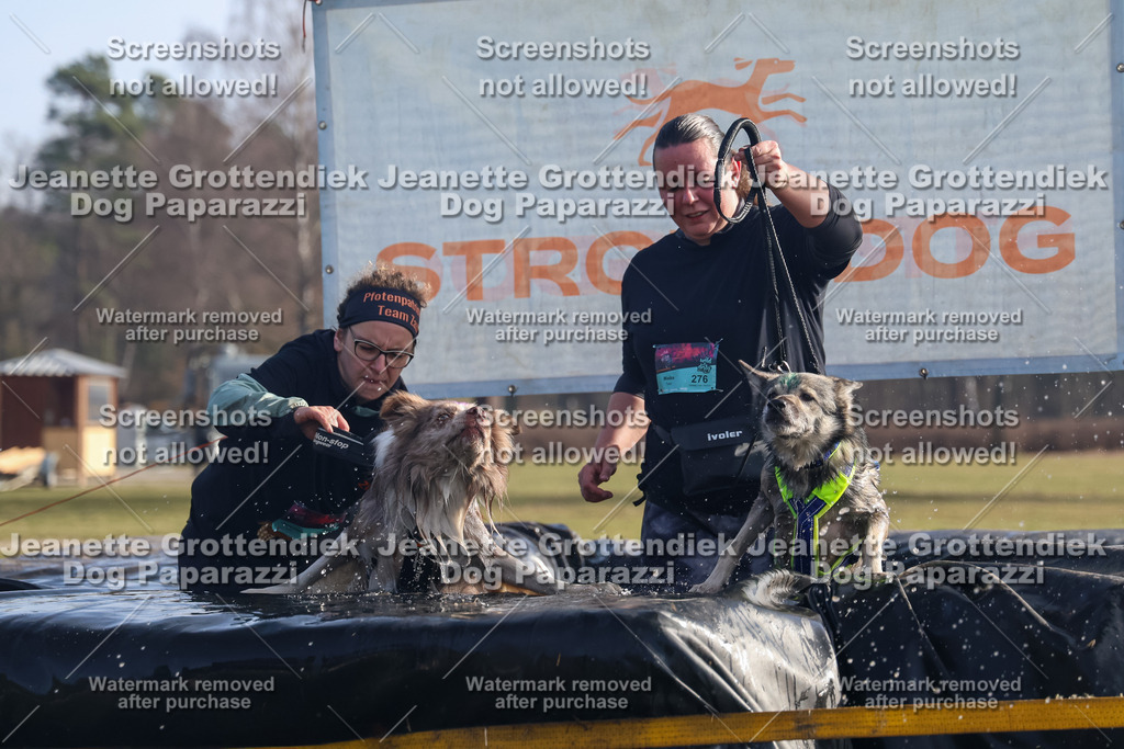 Dog Paparazzi - Strongdog North Mrz26-742 | Dog Paparazzi Jeanette Grottendiek Fotografie & Videografie - Realisiert mit Pictrs.com