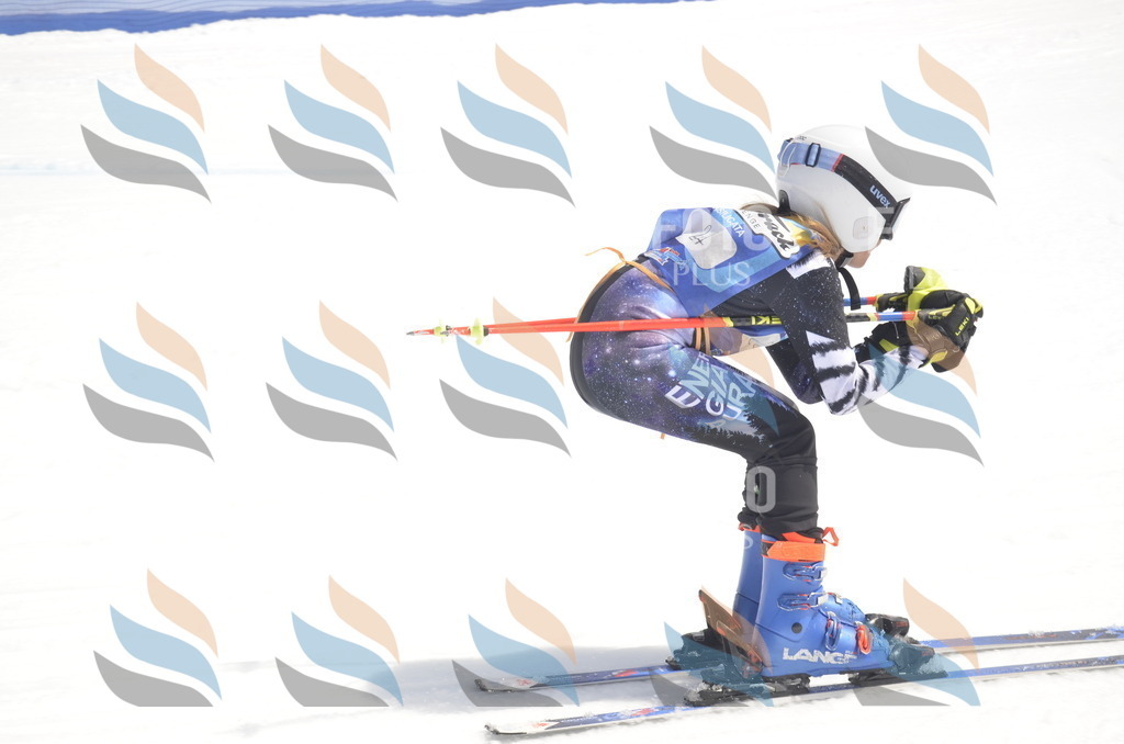 _ELE9065 | holidayphoto