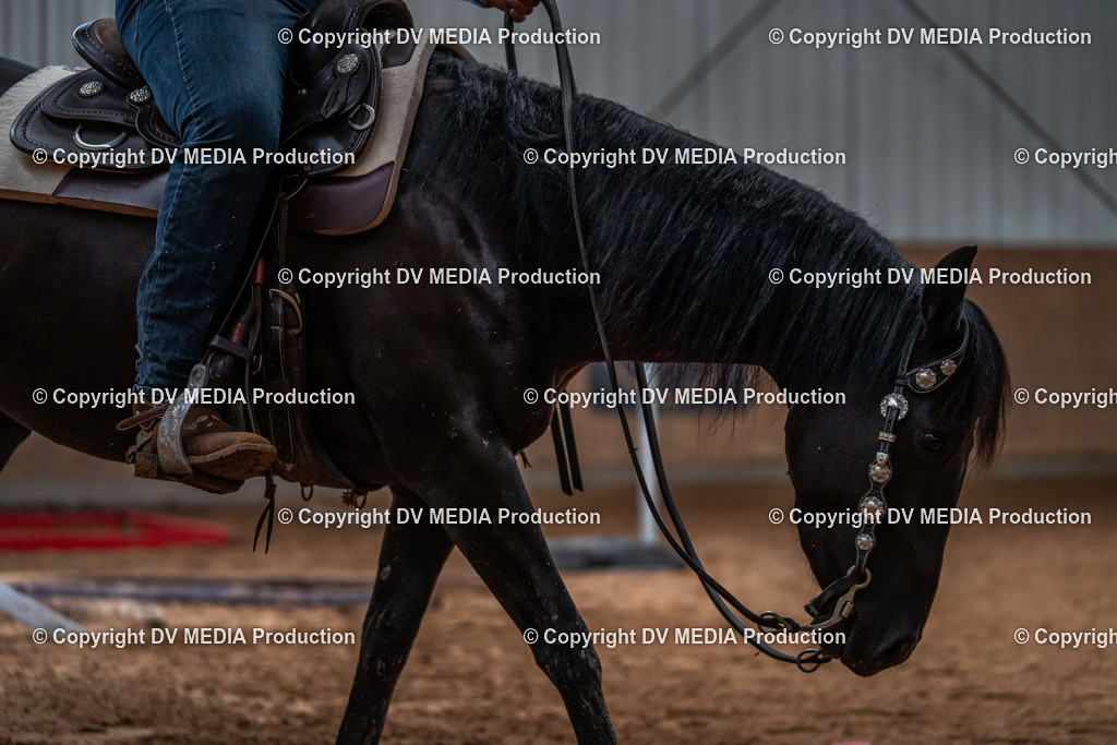 Neckargemünd Tag 2-23 | dv-media-shop - Realisiert mit Pictrs.com