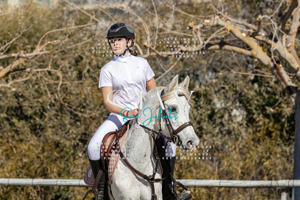 IMG_8578 | s-jay-photography - Realisiert mit Pictrs.com