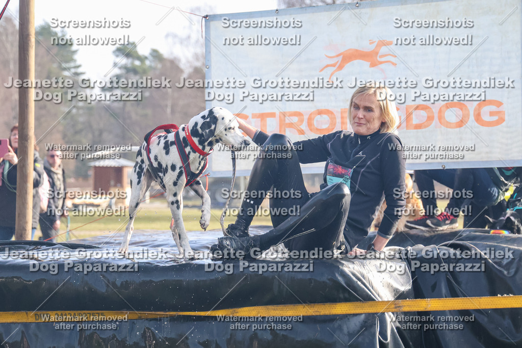 Dog Paparazzi - Strongdog North Mrz26-165 | Dog Paparazzi Jeanette Grottendiek Fotografie & Videografie - Realisiert mit Pictrs.com