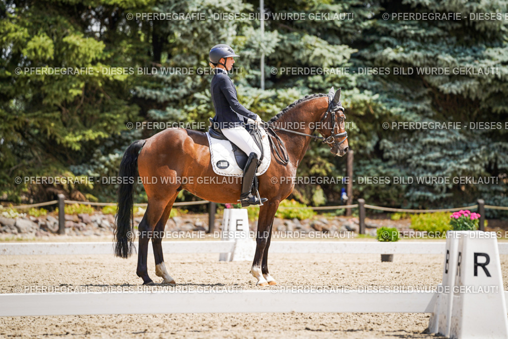 DSC01492 | Pferdegrafie