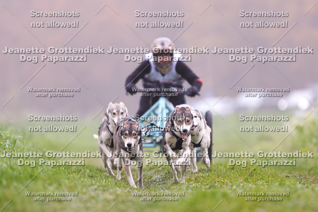 Dog Paparazzi - Visbeck 25 -30 | Dog Paparazzi Jeanette Grottendiek Fotografie & Videografie - Realisiert mit Pictrs.com