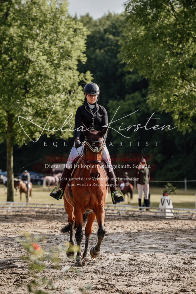 DSC_8470 | Pferde- und Turnierfotografie in Westsachsen. Pferdeportraits, Auftragszeichnungen und intuitive Kunst.