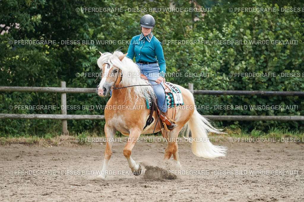 DSC04285 | Pferdegrafie