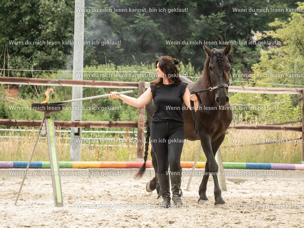 598A7766 | photographylinaismer - Realisiert mit Pictrs.com