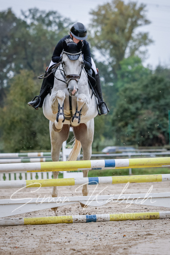 20251012-_3LI3188 | Tierfotografie Pferde, Hunde, Katzen, Haustiere.
Turnierfotografie Reitturniere, Reiten, Springreiten, Dressur in Hanau, dem Main-Kinzig-Kreis und dem Rhein-Main- Gebiet um Frankfurt