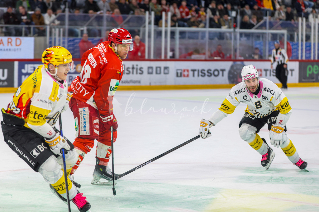 EHCB vs HCA 20260127_wb-9736 | Sportbilder, Sportfotograf, Hochzeits- und Eventfotografin, Flugshows, Portraits und Tiershooting, Aviation, Downhill, Nationalleague, Swissleague, International