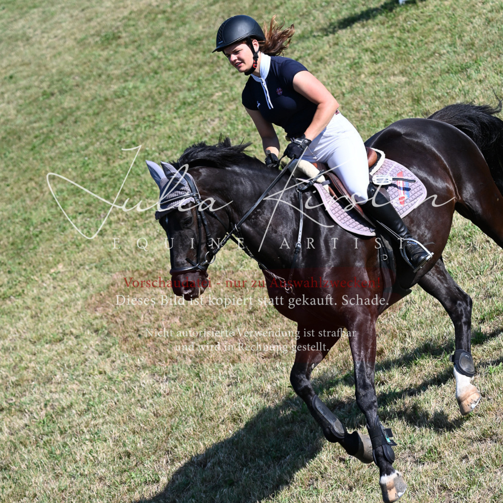 DSC_2466 | Pferde- und Turnierfotografie in Westsachsen. Pferdeportraits, Auftragszeichnungen und intuitive Kunst.