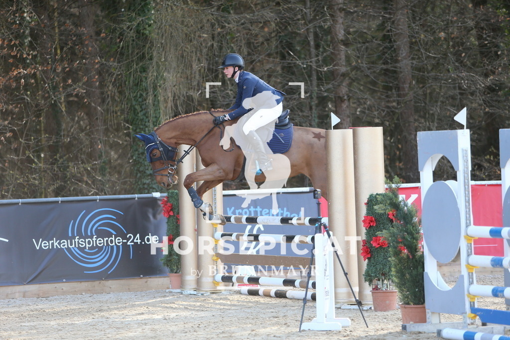 DL2Q4138 | Willkommen bei Brunnmayr - Design & Fotografie – Ihrem Spezialisten für Reitturniere und Pferdeveranstaltungen in Oberösterreich, Salzburg und Bayern! Seit über 17 Jahren sind wir leidenschaftlich dabei.