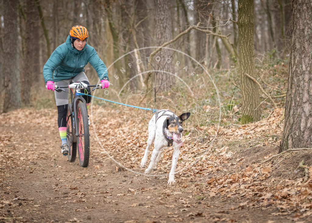 Pfotenfotografie_DV3A5245 | Hundefotografie, Tierfotograf, Pfotenfotografie, Fotoshooting Hund, Hunde Portrait, Hundesport, Hundeportraits, Heideshooting, Hunde, Sportfotograf, Hundefotograf, Turnierhundsport, THS,  - Realisiert mit Pictrs.com