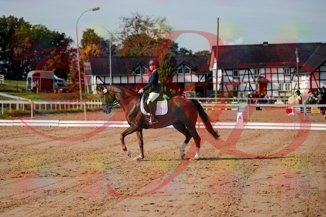 2026_10_03_Siefer-Hof_114729_Z63_26454901 | Professionelle Reitsport-, Turnier- und Eventfotografie von Robert Broda. Galerien mit ausgewählten und bearbeiteten Bildern direkt online ansehen und bestellen.