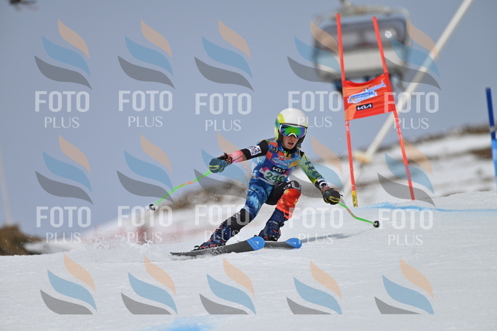 BGV_4929 | holidayphoto