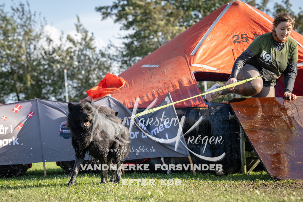 1442-94804 | kk-dogfotos