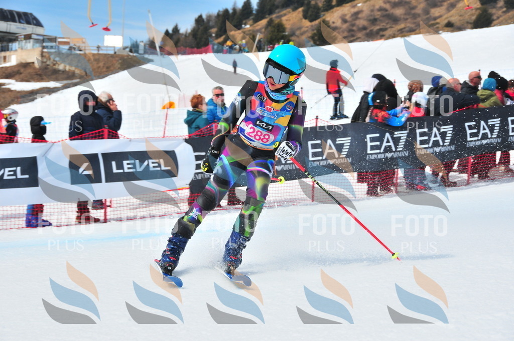 DSC_6436 | holidayphoto