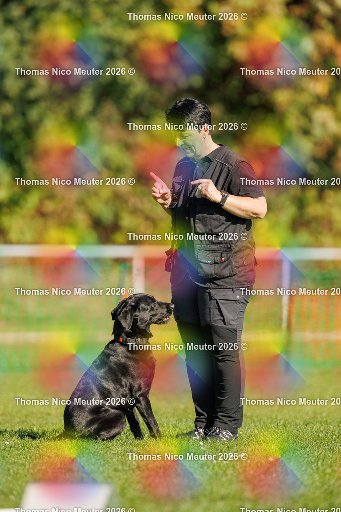 Thomas_Nico_Meuter(C)_04. Oktober 2026_223A1419 | Bild von Thomas Nico Meuter - Realisiert mit Pictrs.com