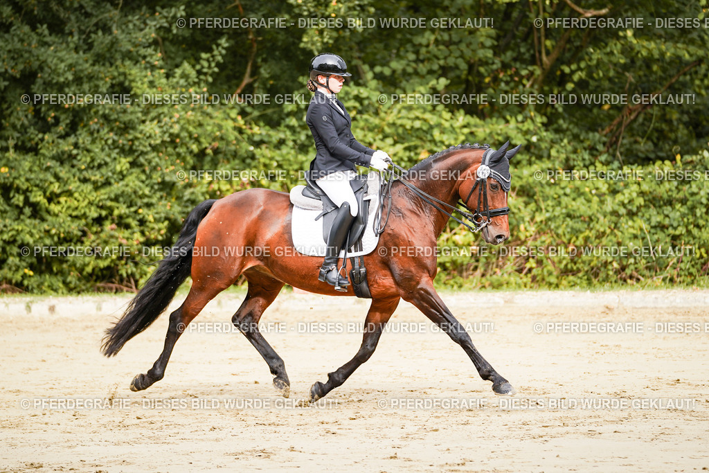 DSC01888 | Pferdegrafie