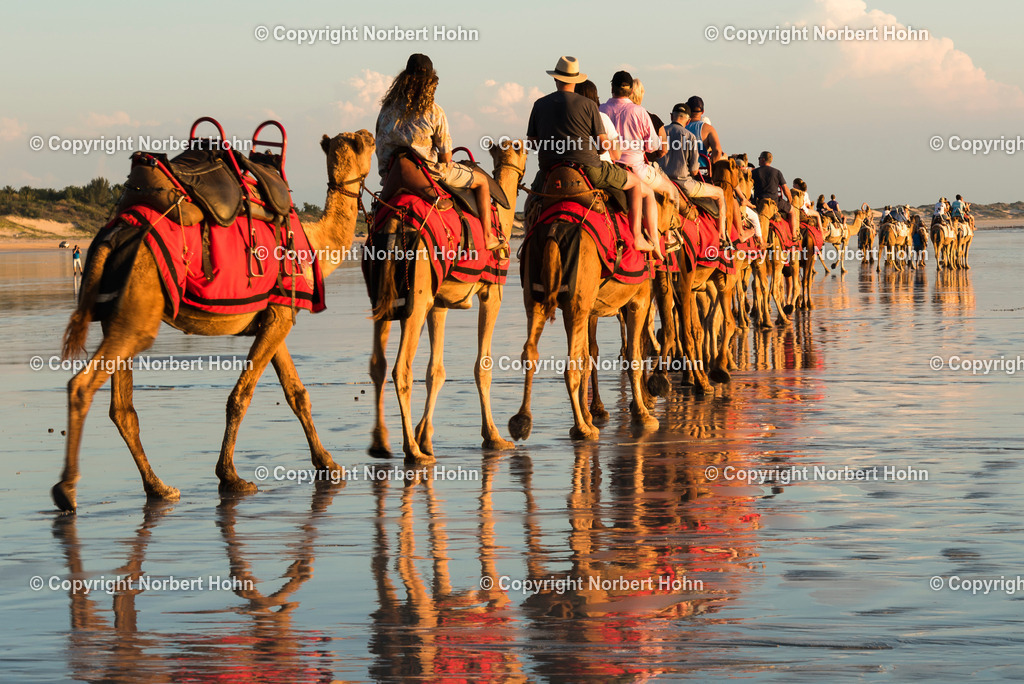 Reisefotografie - Australien - Der fünfte Kontinent | Abendlicher Kamelausritt am Strand von Broome in Westaustralien. - Realisiert mit Pictrs.com