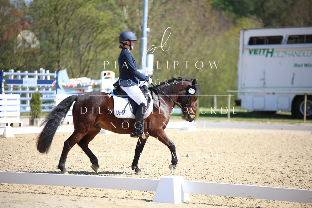 IMGT7646 | pl-fotografie