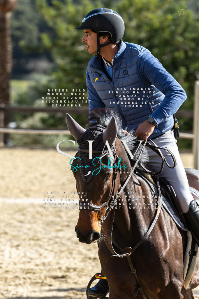 IMG_3997 | s-jay-photography - Realisiert mit Pictrs.com