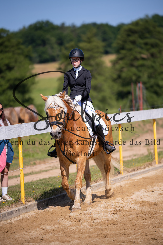A7V07772 | Turnier/Reitfotograf