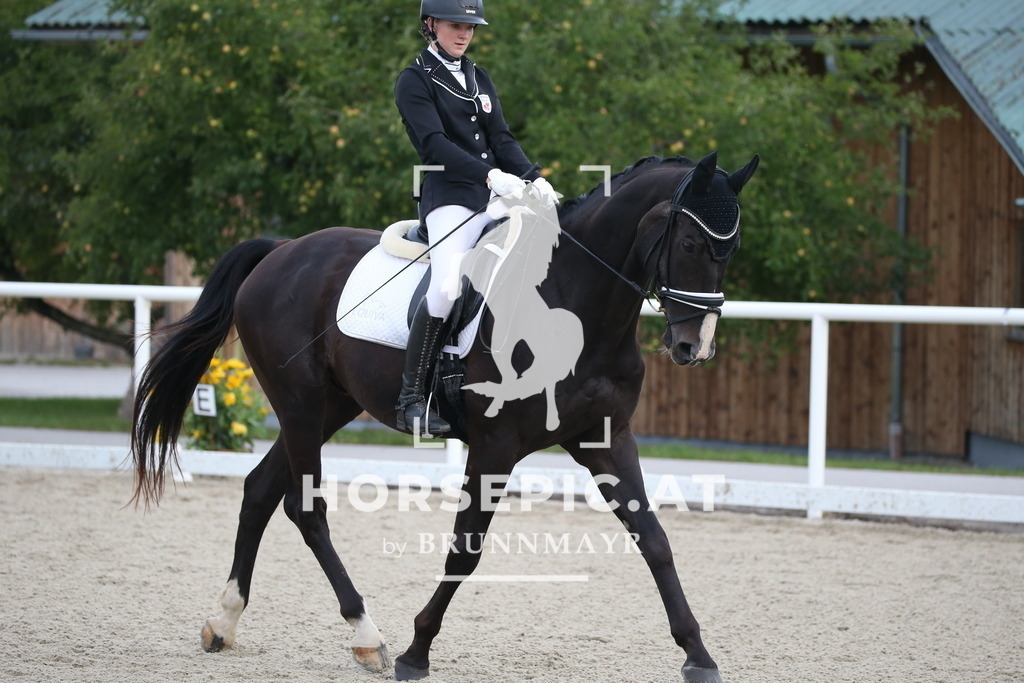 DL2Q1275 | Willkommen bei Brunnmayr - Design & Fotografie – Ihrem Spezialisten für Reitturniere und Pferdeveranstaltungen in Oberösterreich, Salzburg und Bayern! Seit über 17 Jahren sind wir leidenschaftlich dabei.