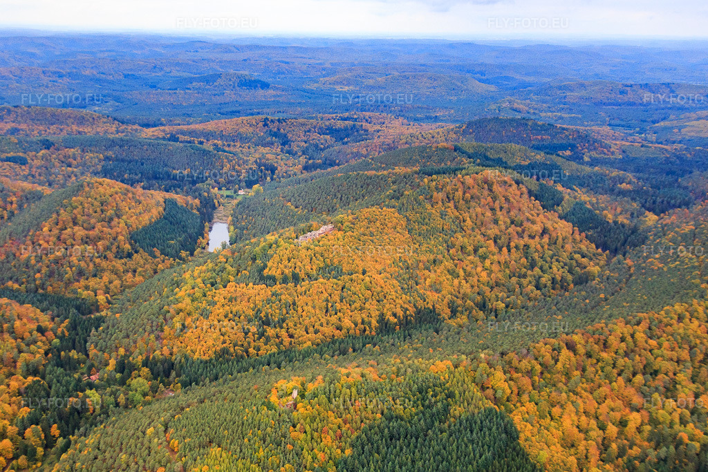 Vue aérienne: Étang en contrebas du château de Schœneck à Dambach dans le département Bas Rhin, France – .Photo: IMG_084643.jpg prise le 23/10/2015 par Werner Riehm/FLY-FOTO.eu – Résolution de l'original: 4603 x 3068 px – Château du Schœneck