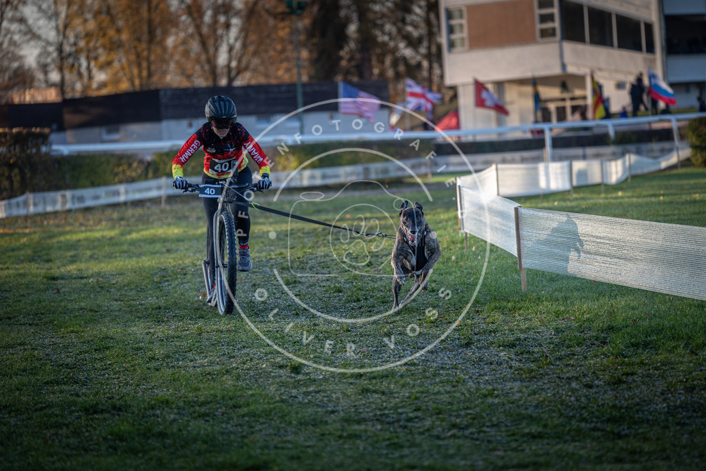 CaniXpix_0L8A1912 | Hundefotografie, Tierfotograf, Pfotenfotografie, Fotoshooting Hund, Hunde Portrait, Hundesport, Hundeportraits, Heideshooting, Hunde, Sportfotograf, Hundefotograf, Turnierhundsport, THS,  - Realisiert mit Pictrs.com