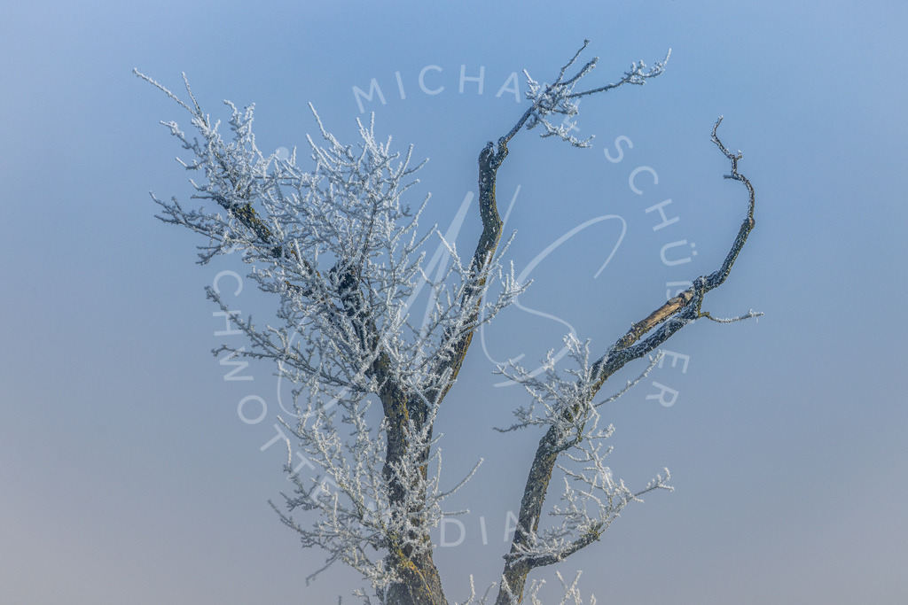 2025-01-20 Hemmingen Nebel Frost Felder 015 | Schwotte Media - Realisiert mit Pictrs.com