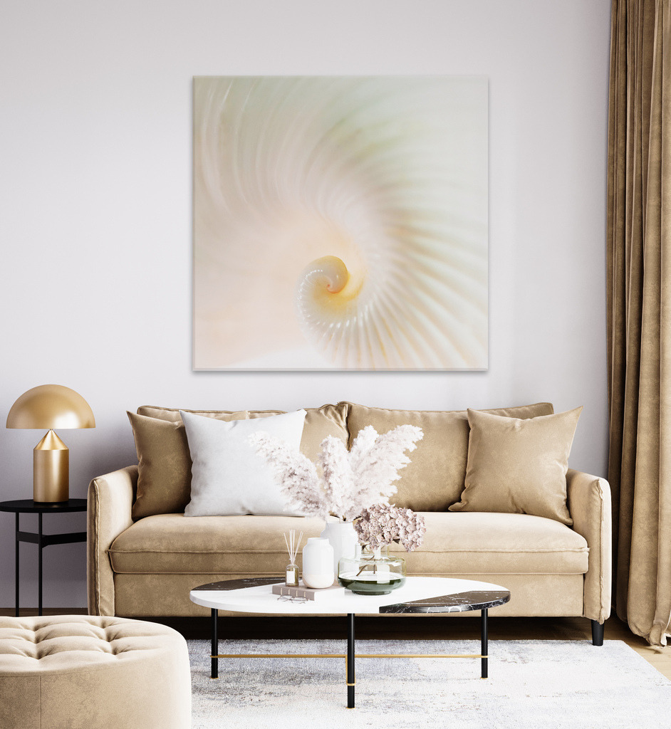 Elegante Muschelspirale in weiß | Anwendungsbeispiel für die Gestaltung Ihres Schlafbereichs. Sie finden dieses Motiv in der Galerie Fotokunst im Quadrat (https://shop.soulimages.eu/img/4uy6cl). - Realisiert mit Pictrs.com