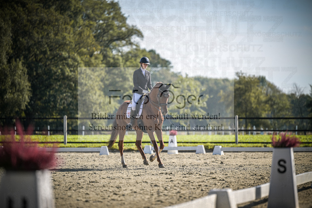 DOS_3318 | Entdecke hochwertige Reitturnierfotos von Foto Oger. Professionell, emotional und authentisch – jetzt Lieblingsmomente im Shop bestellen.Deutschlandweite Turnierfotografie. - Realisiert mit Pictrs.com